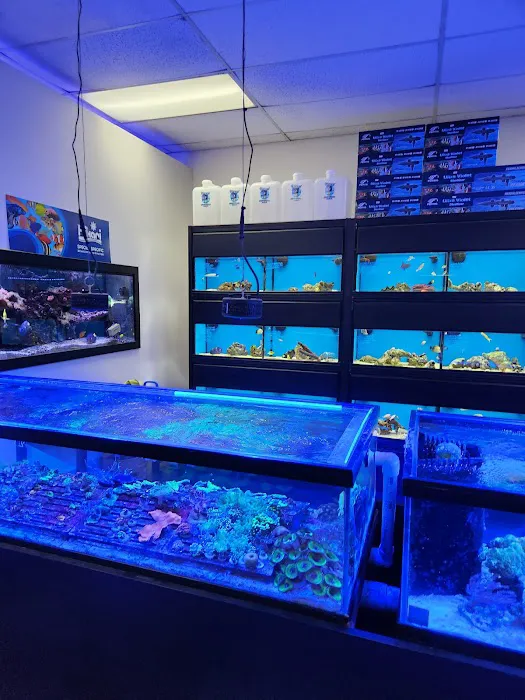 Fish Frenzy Picture 8