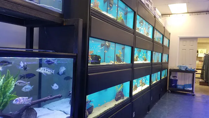 Fish Frenzy Picture 5