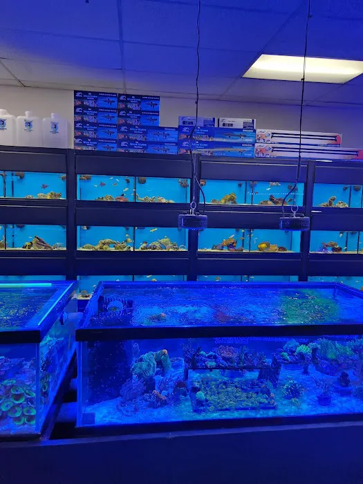 Fish Frenzy Picture 6