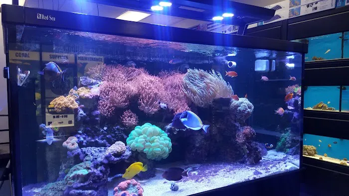 Fish Frenzy Picture 4
