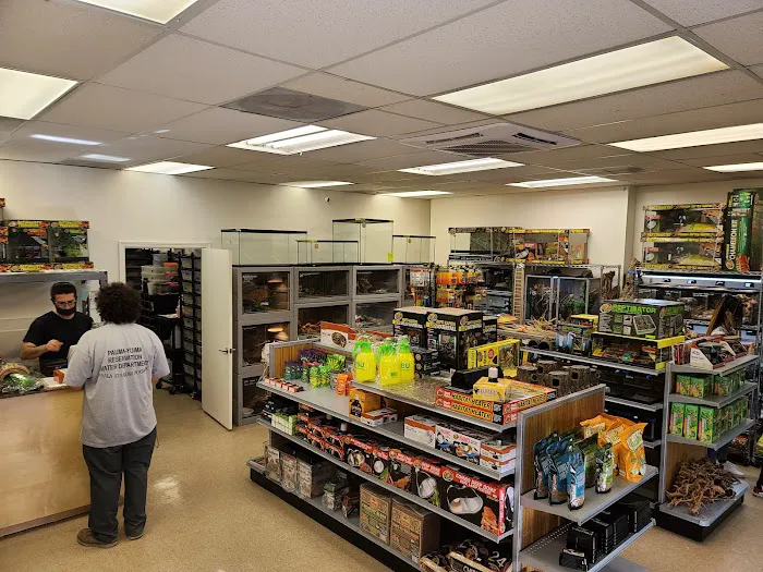 The Reptile Shop Picture 4
