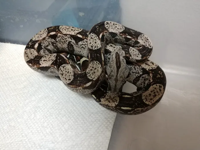 The Reptile Shop Picture 2