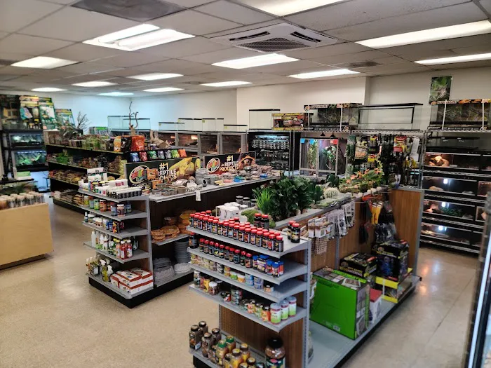 The Reptile Shop Picture 9