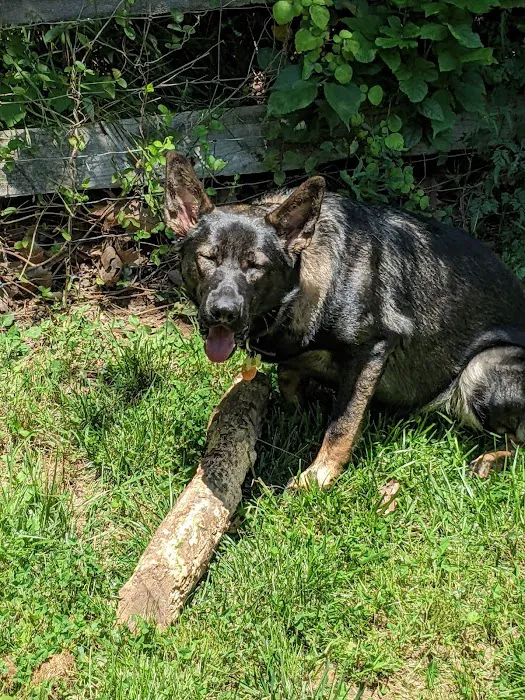 Animal Medical Center of Frederick County Picture 7