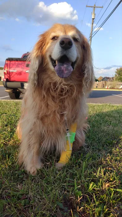 Animal Medical Center of Frederick County Picture 5
