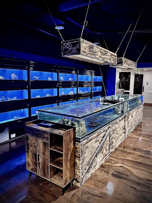 Coral Smugglers LLC Picture 3