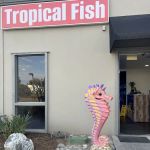 Coral Smugglers LLC