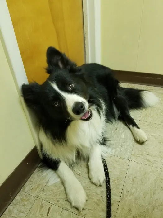 Stephens City Animal Hospital Picture 5