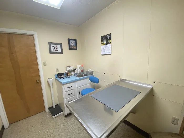 Stephens City Animal Hospital Picture 1