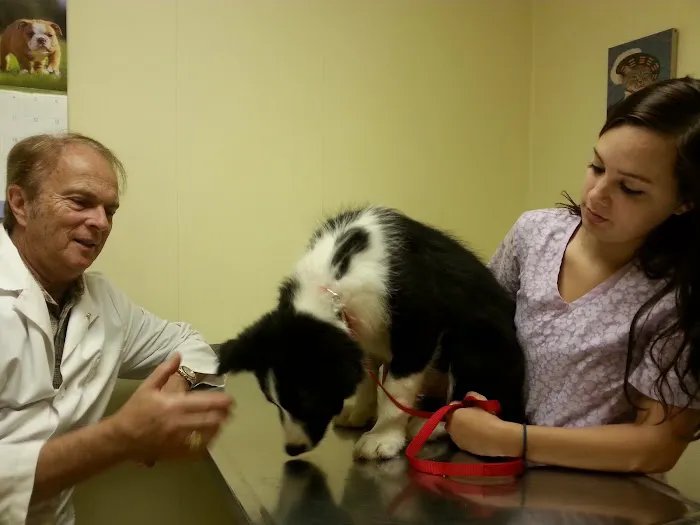 Stephens City Animal Hospital Picture 9