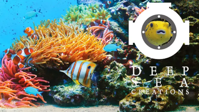 Deep Sea Creations Picture 2