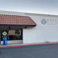 Deep Sea Creations ico