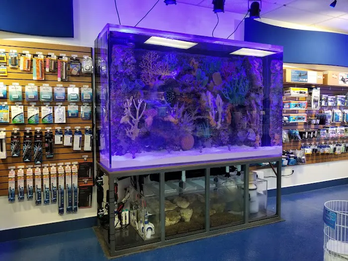 Deep Sea Creations Picture 10