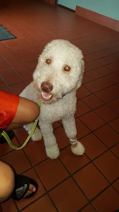 Newtown Veterinary Clinic Picture 5