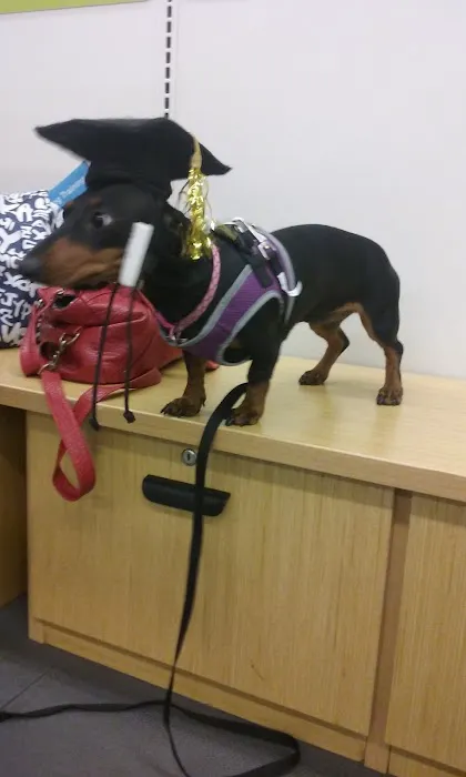 Petco Picture 3