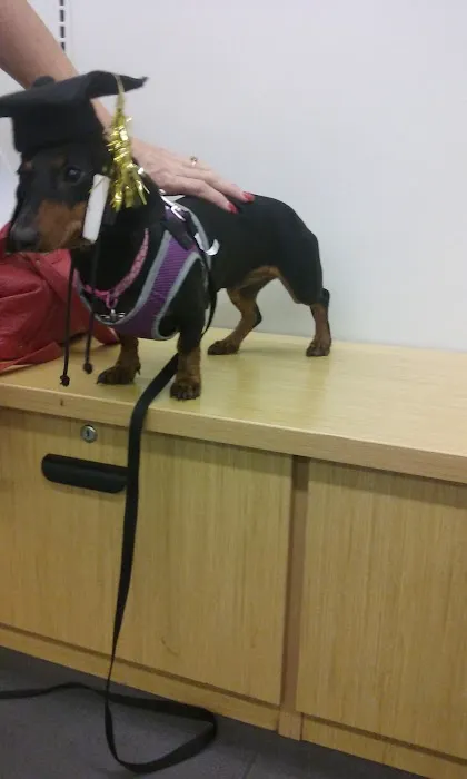Petco Picture 6
