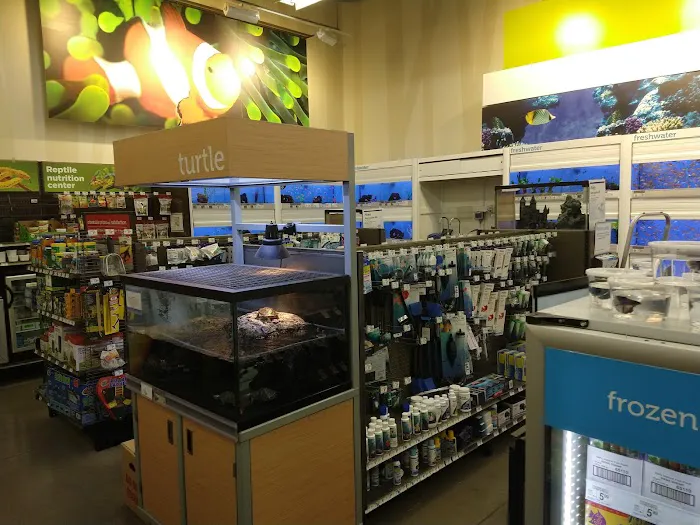 Petco Picture 2