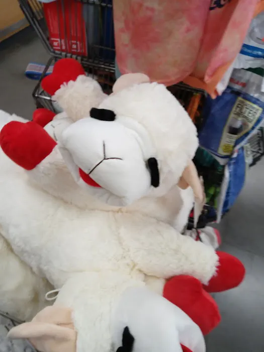 Petco Picture 9