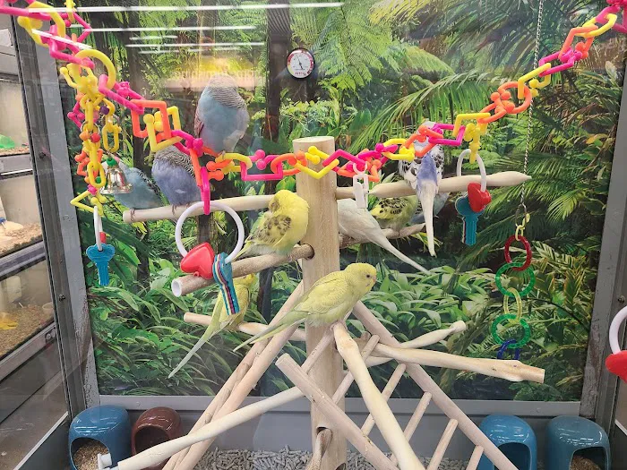 Petco Picture 7