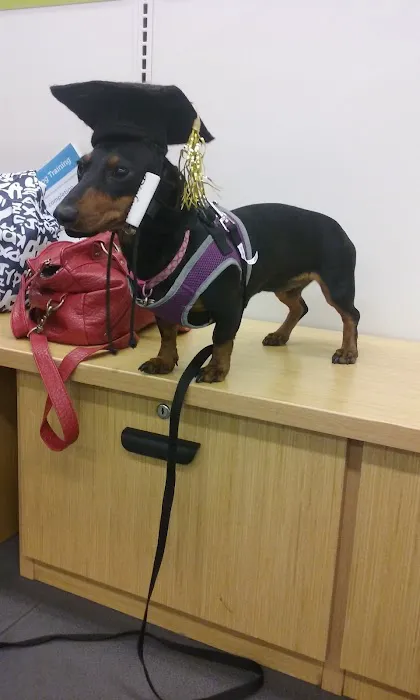 Petco Picture 4