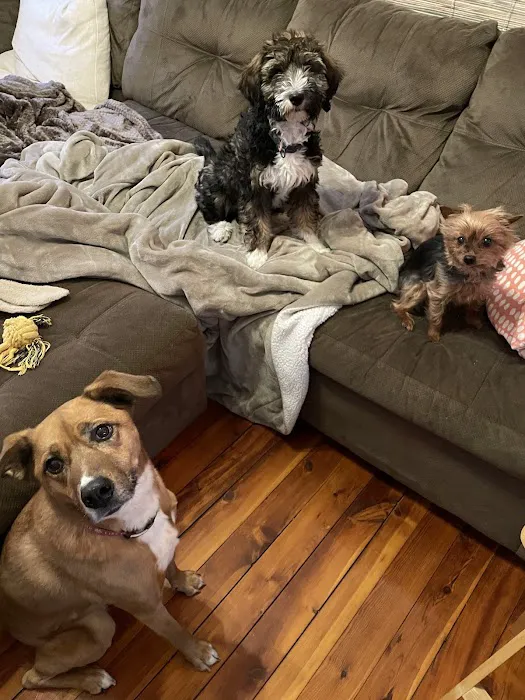 Vet Trek House Call Practice Picture 1
