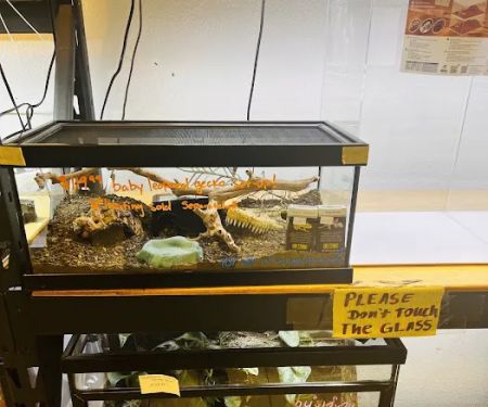 REPTILE FACTORY
