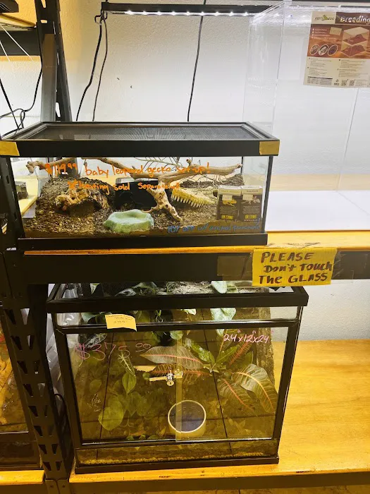 REPTILE FACTORY Picture 5