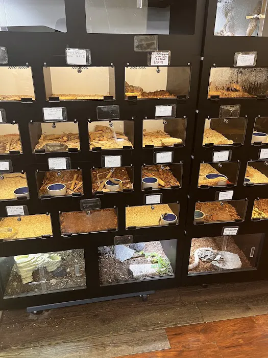 REPTILE FACTORY Picture 6