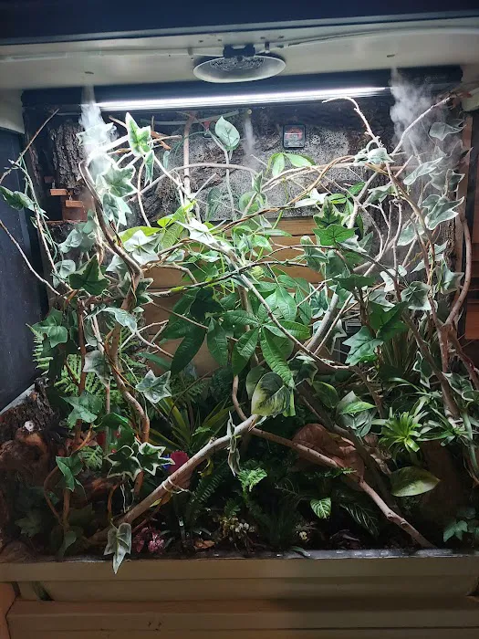 REPTILE FACTORY Picture 10