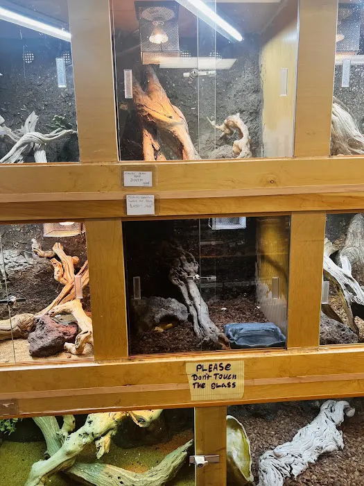 REPTILE FACTORY Picture 2