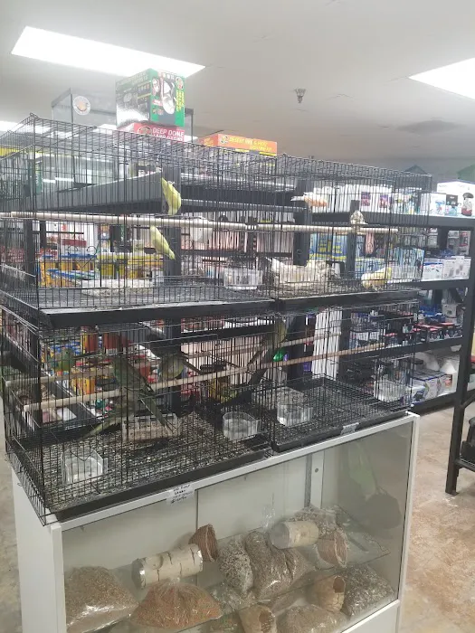High Desert Pet Shop Picture 8
