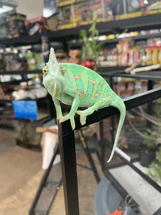 High Desert Pet Shop Picture 9