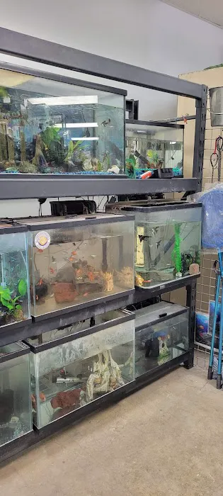 High Desert Pet Shop Picture 7