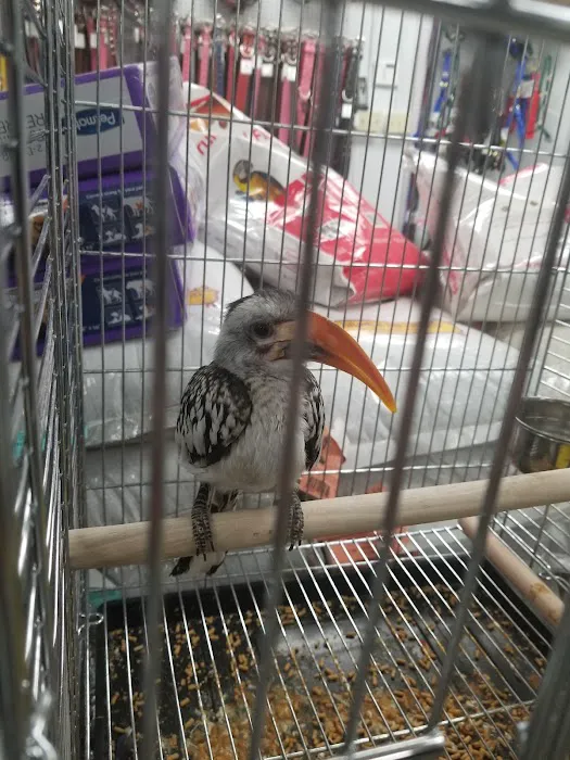 High Desert Pet Shop Picture 4