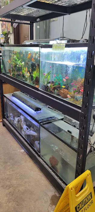 High Desert Pet Shop Picture 3