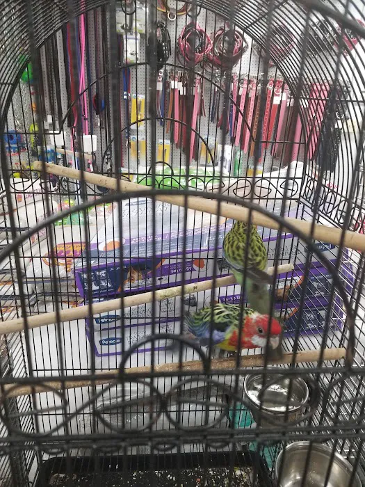High Desert Pet Shop Picture 6