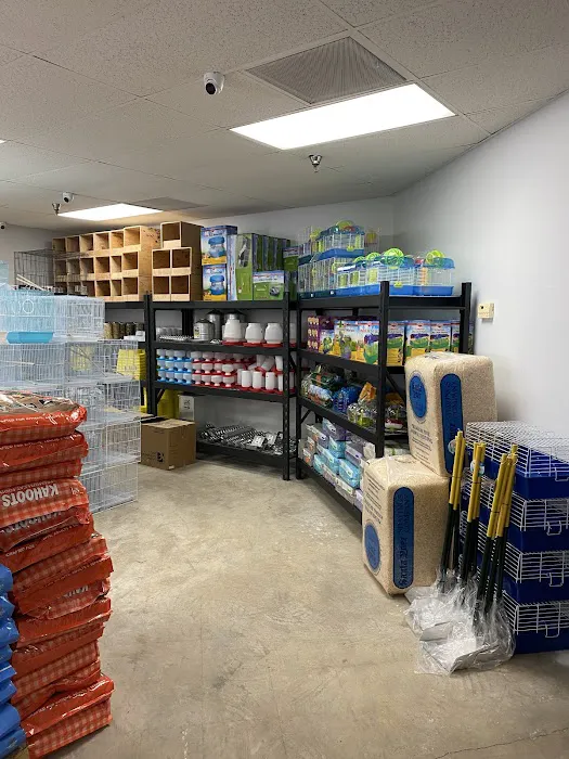 High Desert Pet Shop Picture 10