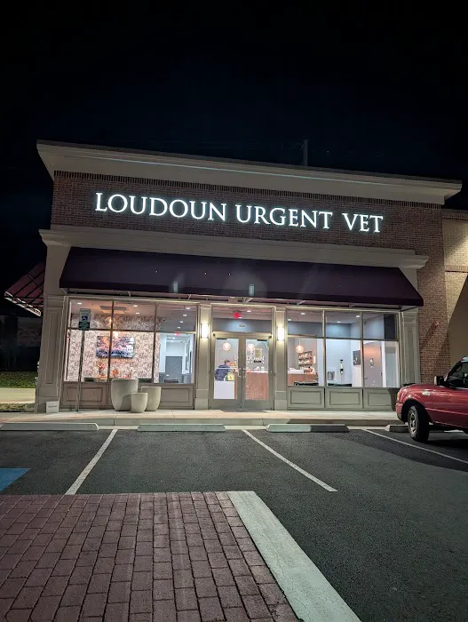 Loudoun Urgent Vet Picture 5