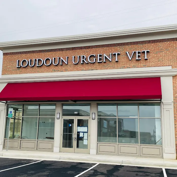 Loudoun Urgent Vet Picture 7