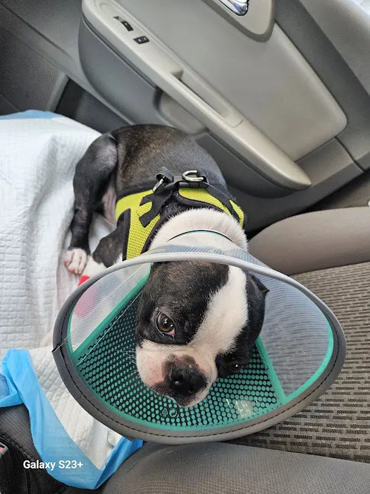 Loudoun Urgent Vet Picture 8