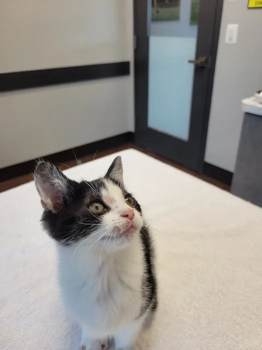 Loudoun Urgent Vet Picture 2