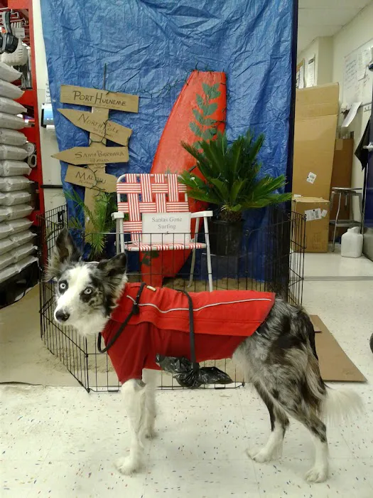 Petco Picture 10