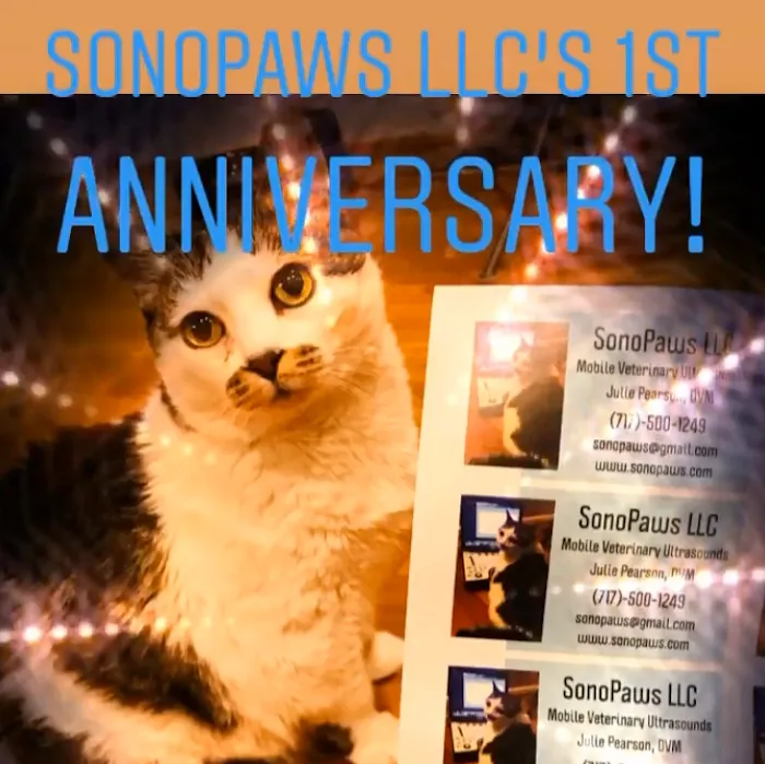 Sonopaws™ LLC Picture 5