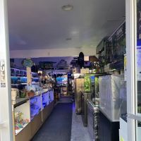 Extreme Marine ico
