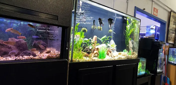Extreme Marine Picture 2