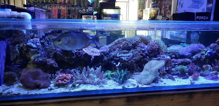 Extreme Marine Picture 8
