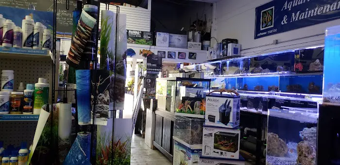 Extreme Marine Picture 5