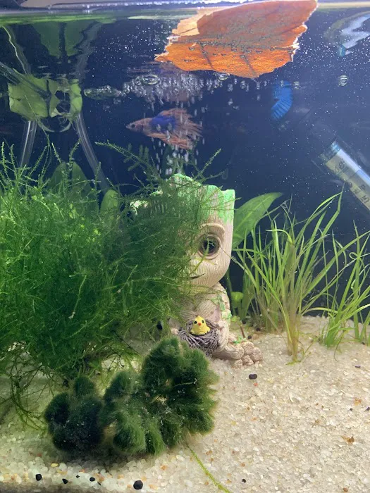 Extreme Marine Picture 10