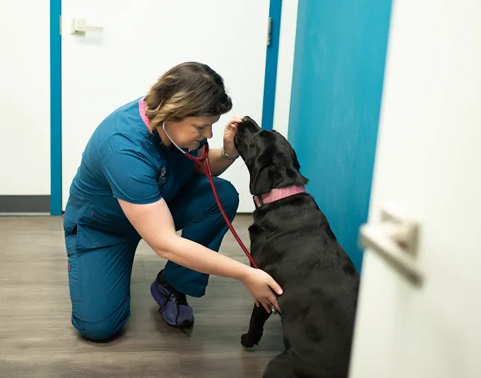 Burke Forest Veterinary Clinic Picture 1