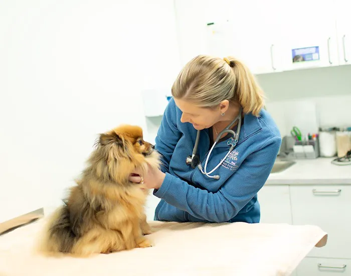Burke Forest Veterinary Clinic Picture 7